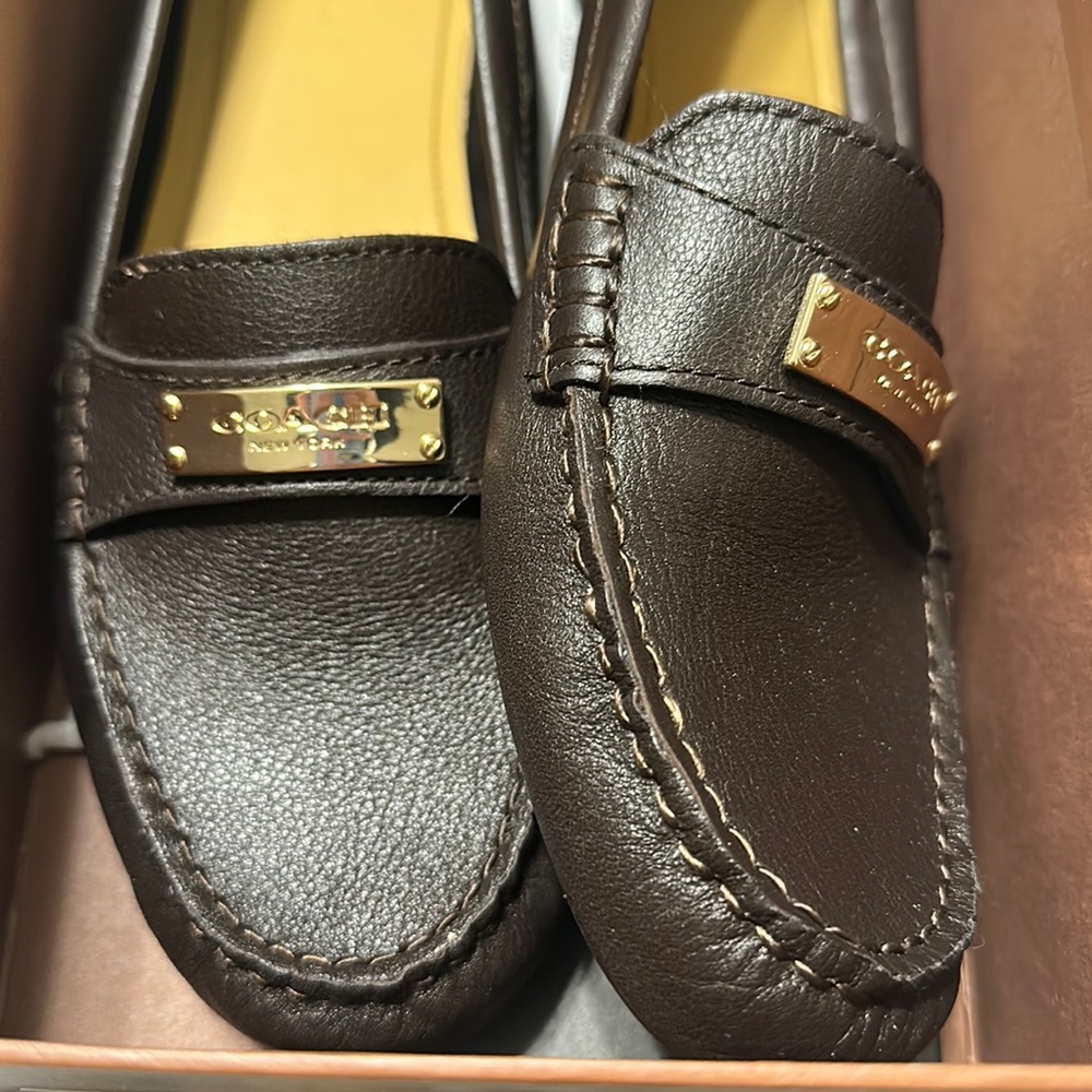 Chestnut COACH Fredrica shoe